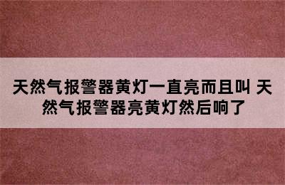 天然气报警器黄灯一直亮而且叫 天然气报警器亮黄灯然后响了